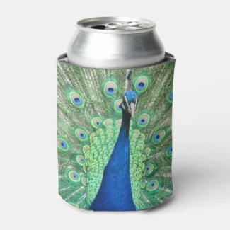 Can Cooler - Peacock Portrait