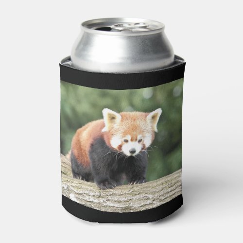 Can Cooler Photo red panda  animals 0001