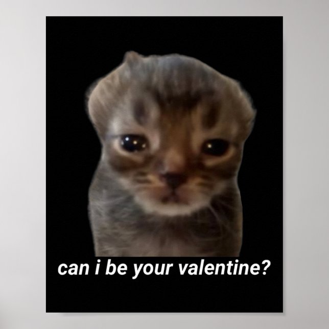 Can I Be Your Valentine Funny Cat Meme Brainrot Ge Poster (Front)