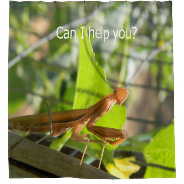 Can I help you?... Shower Curtain (Front)