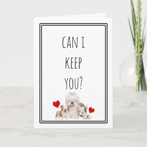 Can I Keep You Funny Valentine Holiday Card