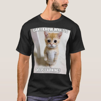 Can I know what is deep learning T-Shirt