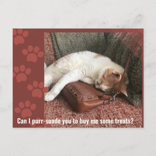 Can I purr_suade you Cute Cat Puzzle Postcard