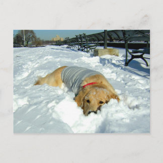 CAN I STAY HERE? POSTCARD