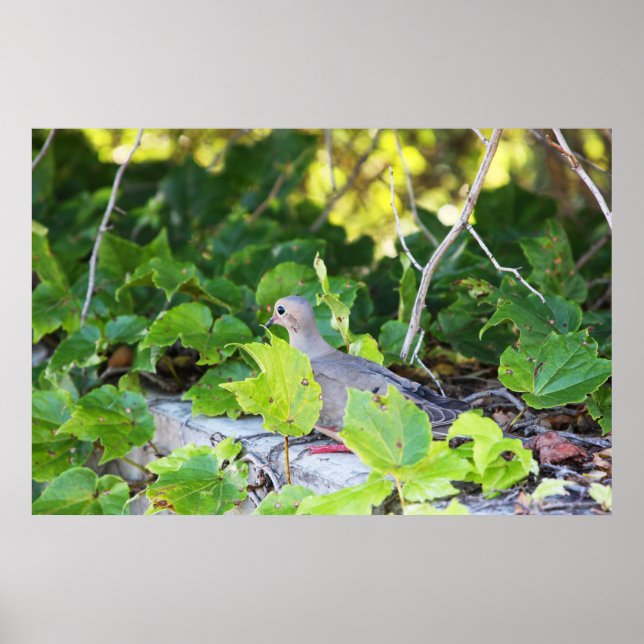 Can’t See Me Poster (Front)