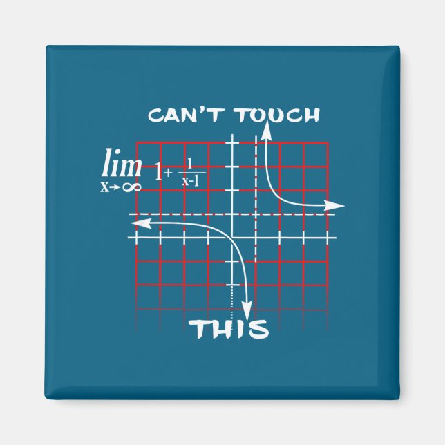 Can T Touch This Equation Math Funny Gift  Magnet (Front)