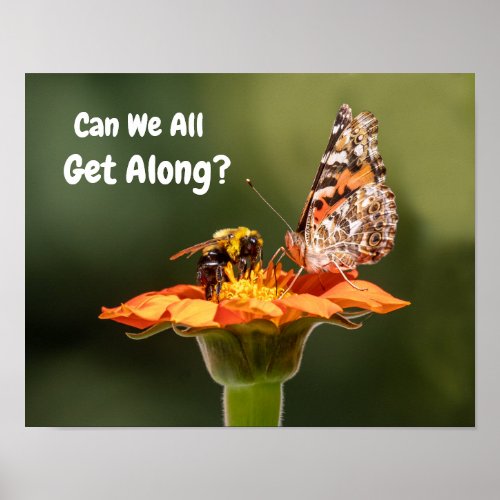 Can We All Get Along Poster