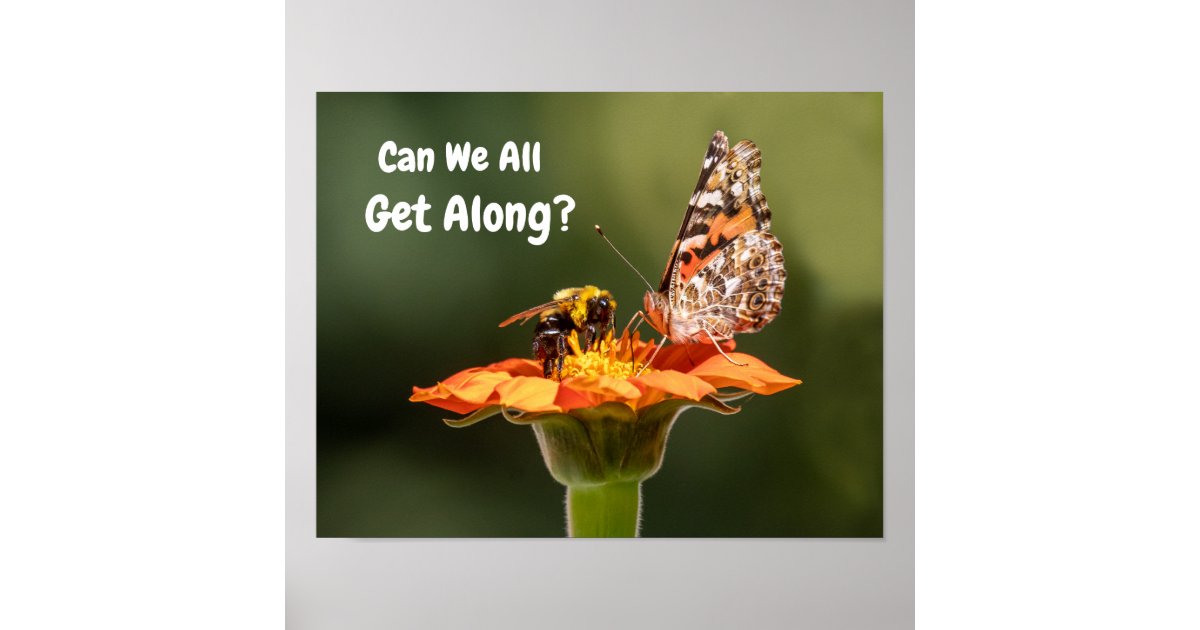 Can We All Get Along? Poster | Zazzle