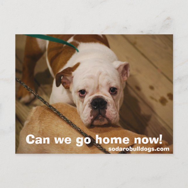 Can we go home now! postcard (Front)