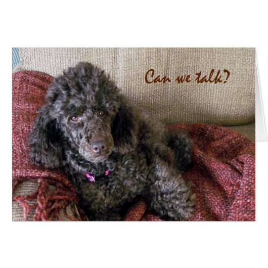 Can We Talk? Cute Brown Poodle and Blanket (Front Horizontal)