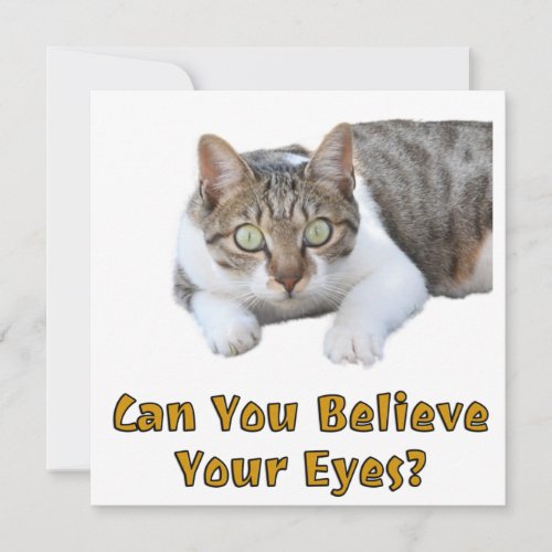 Can You Believe Your Eyes Cute Cat Art Card