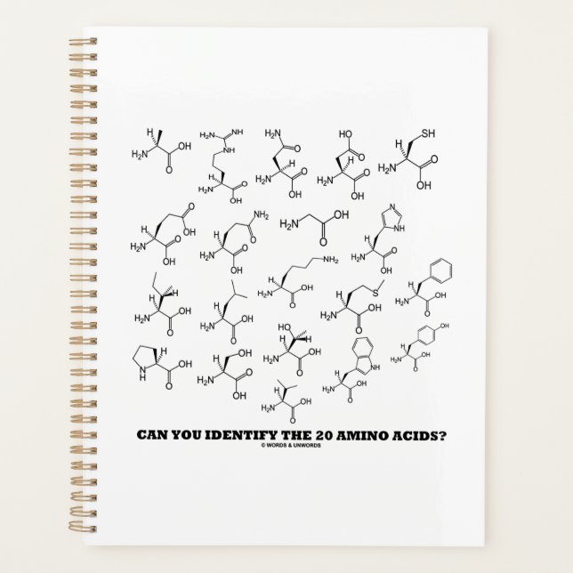 Can You Identify The 20 Amino Acids? Biochemistry Planner (Front)