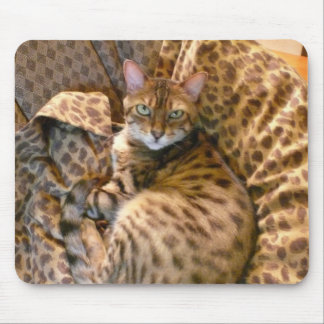 Can you see me? mouse pad