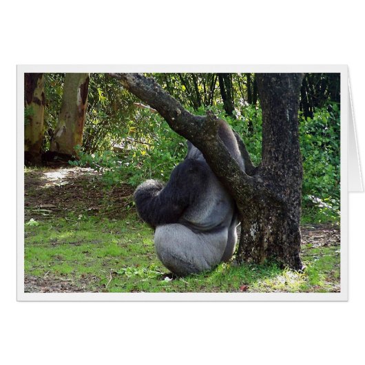 "Can you see me now?" Cards (Front Horizontal)