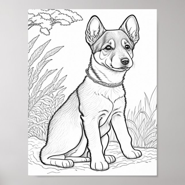 Canaan Dog Adult Coloring Poster (Front)