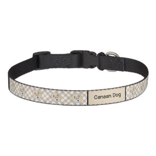 Canaan Dog Painting - Cute Original Dog Art Pet Collar