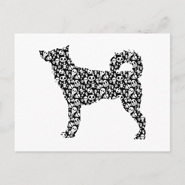 Canaan Dog Postcard (Front)