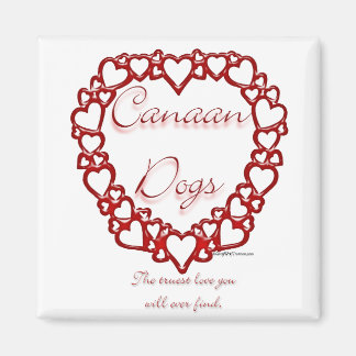 Canaan Dog True Love Magnet