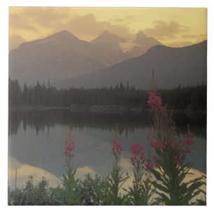 Canada, Alberta, Banff. Sunrise scenic of Ceramic Tile