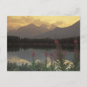 Canada, Alberta, Banff. Sunrise scenic of Postcard