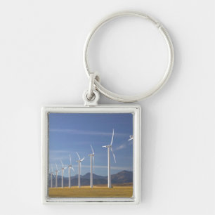 Canada, Alberta, Crowsnest Pass Area: Cowley Keychain