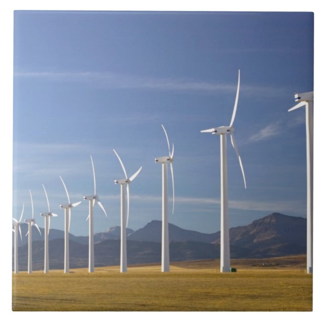 Canada, Alberta, Crowsnest Pass Area: Cowley Tile (Front)