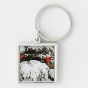 Canada, Alberta, Jasper, Jasper NP. Fairmont 2 Keychain