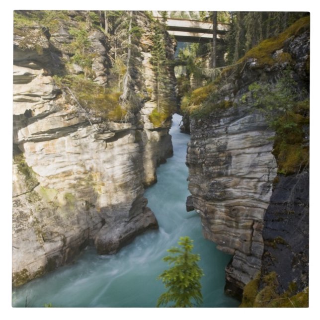 Canada, Alberta, Jasper National Park, Athabasca 2 Ceramic Tile (Front)