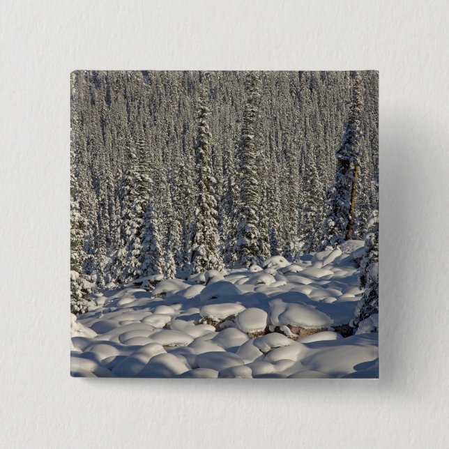 Canada, Alberta, Jasper National Park. Button (Front)