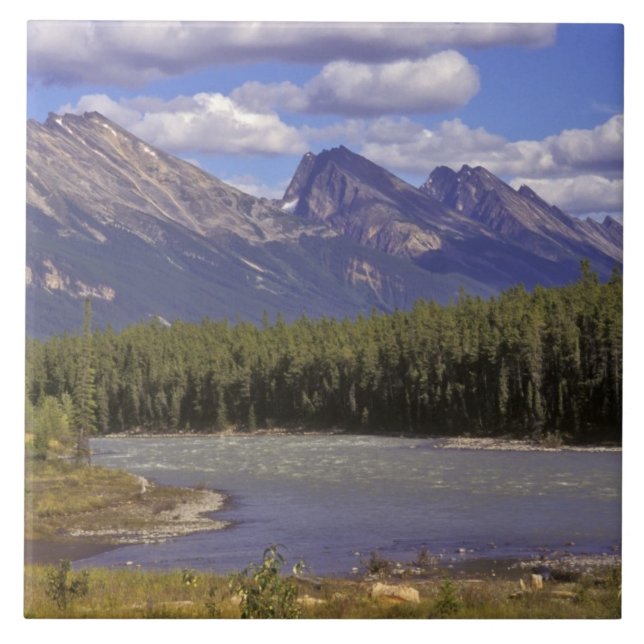 Canada, Alberta, Jasper National Park. Large Ceramic Tile (Front)