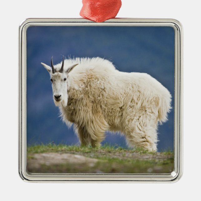 Canada, Alberta, Jasper National Park, Metal Ornament (Front)