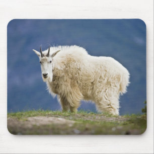 Canada, Alberta, Jasper National Park, Mouse Pad