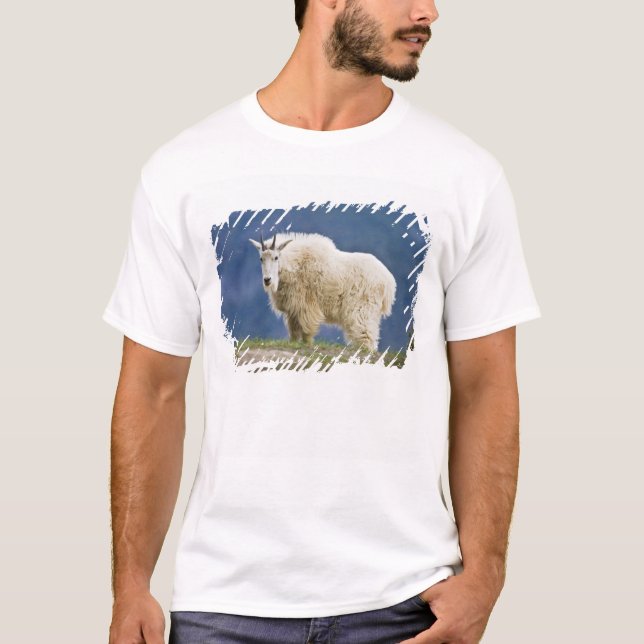 Canada, Alberta, Jasper National Park, T-Shirt (Front)