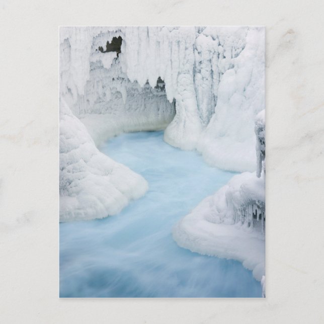 Canada, Alberta, Jasper National Park. The Postcard (Front)