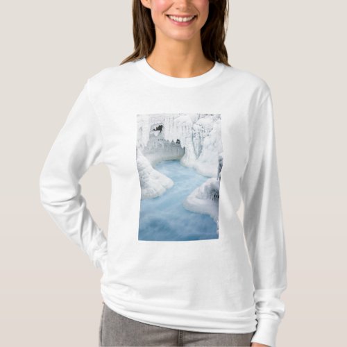 Canada Alberta Jasper National Park The T_Shirt