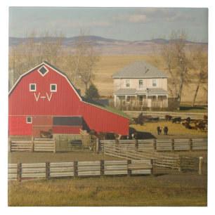 Canada, Alberta, Pincher Creek: Red Barn & Ranch Ceramic Tile