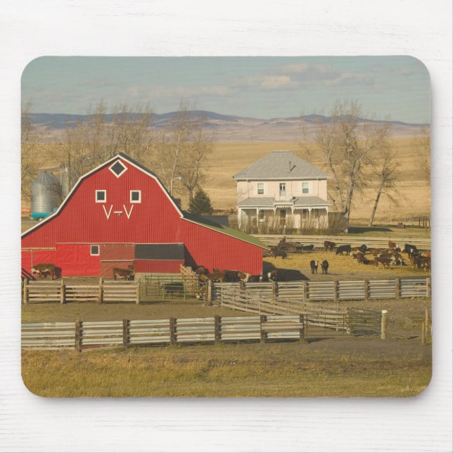 Canada, Alberta, Pincher Creek: Red Barn & Ranch Mouse Pad (Front)