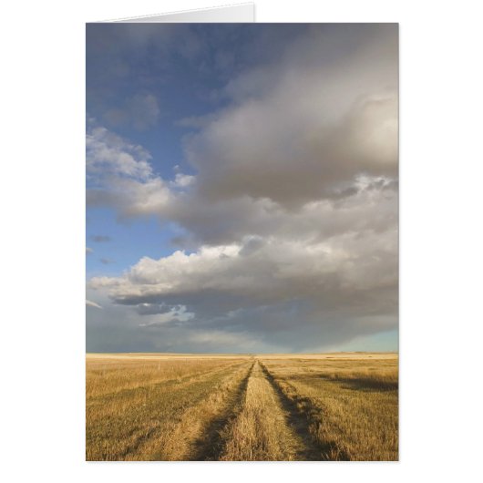 Canada, Alberta, Stand Off: Landscape with Cards (Front)