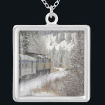 Canada, Alberta. VIA Rail Snow Train between Silver Plated Necklace<br><div class="desc">COPYRIGHT Cindy Miller Hopkins / DanitaDelimont.com | CN01 CMI0019.jpg | Canada,  Alberta. VIA Rail Snow Train between Edmonton & Jasper.</div>