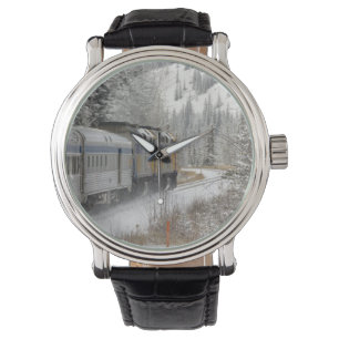 Canada, Alberta. VIA Rail Snow Train between Watch