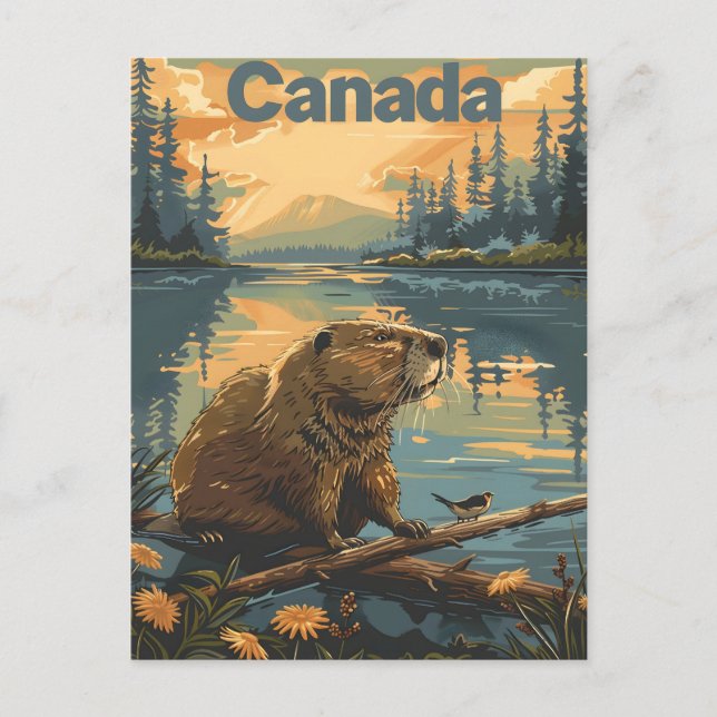 Canada Beaver Postcard (Front)