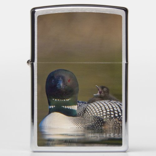 Canada British ColumbiaCommon Loon breeding 2 Zippo Lighter