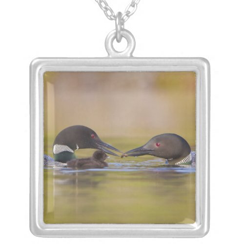 Canada British ColumbiaCommon Loon breeding Silver Plated Necklace