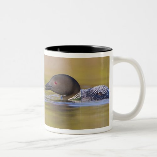 Canada British ColumbiaCommon Loon breeding Two_Tone Coffee Mug