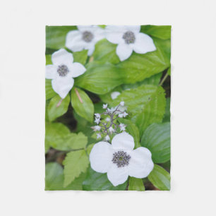 Canada, British Columbia. Dwarf Dogwood Fleece Blanket