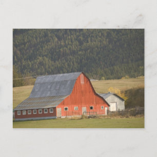 CANADA, British Columbia, Enderby. Red Barn / Postcard
