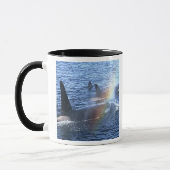 Canada, British Columbia, Johnstone Straight, Mug (Left)