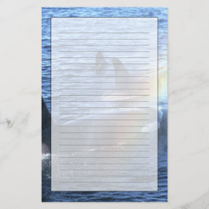 Canada, British Columbia, Johnstone Straight, Stationery