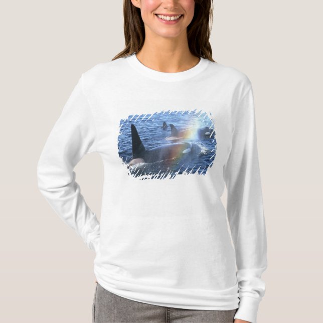 Canada, British Columbia, Johnstone Straight, T-Shirt (Front)