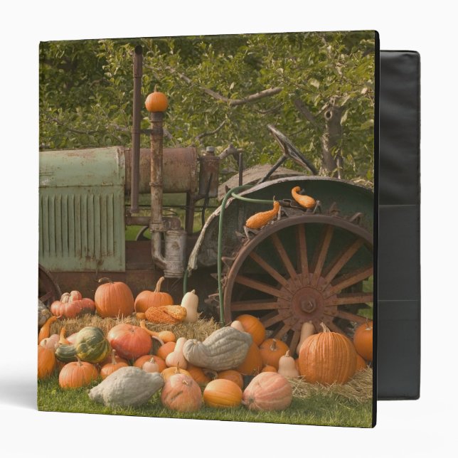 CANADA, British Columbia, Keremeos. Autumn / 2 Binder (Front/Inside)